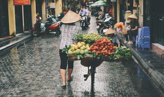 东北雨姐背后的食品安全警钟，一家粉条厂家因何被罚671万？